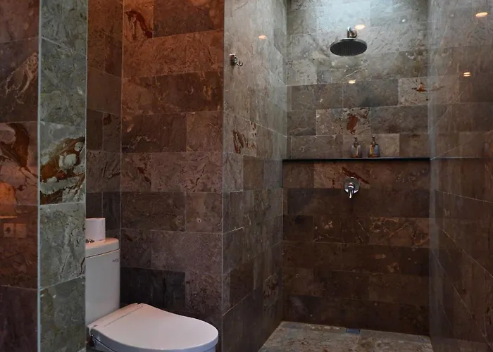Anara